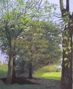 Haies d'arbres a La Couture Haies d'arbres a La Couture